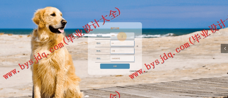 基于Vue的宠物店管理系统的设计与实现