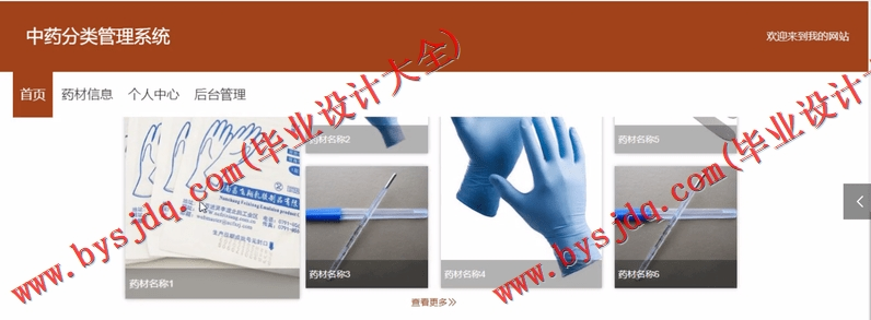 基于Vue的中药分类进销存管理系统的设计与实现