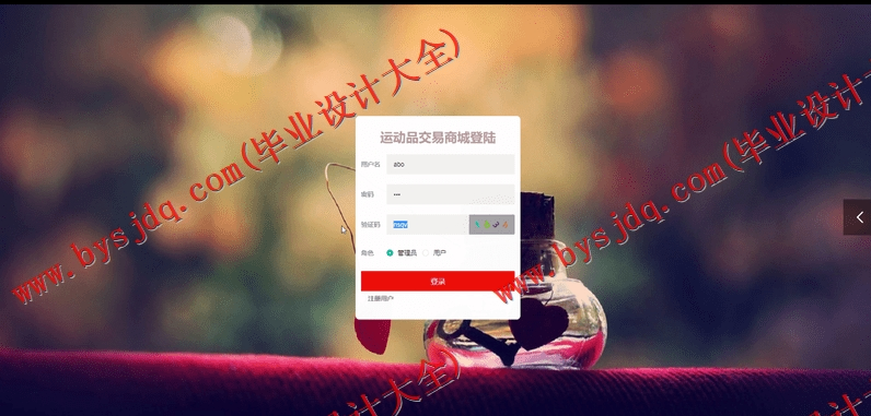 基于Vue的体育运动商品交易商城系统的设计与实现