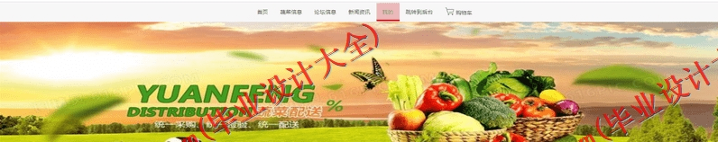 基于Vue的有机蔬菜销售网站的设计与实现