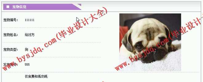 N036基于JSP的宠物管理系统的设计与实现